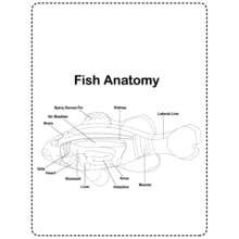 Small manufacture image 10