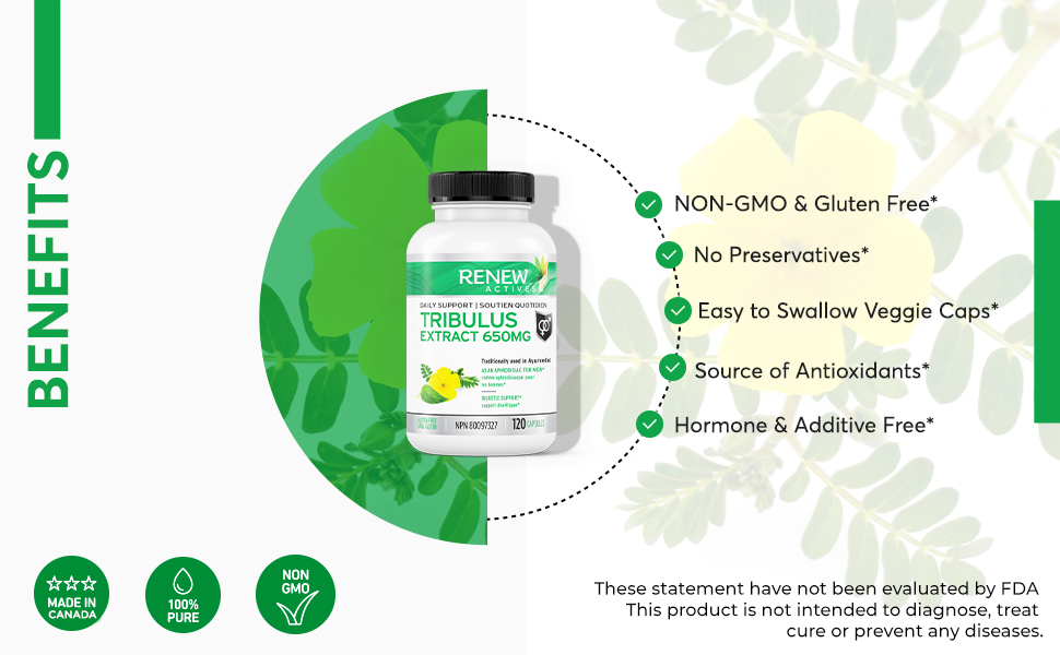 Renew Actives Tribulus Terrestris Supplement Ayurvedic Aphrodisiac
