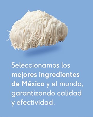 hongos adaptógenos