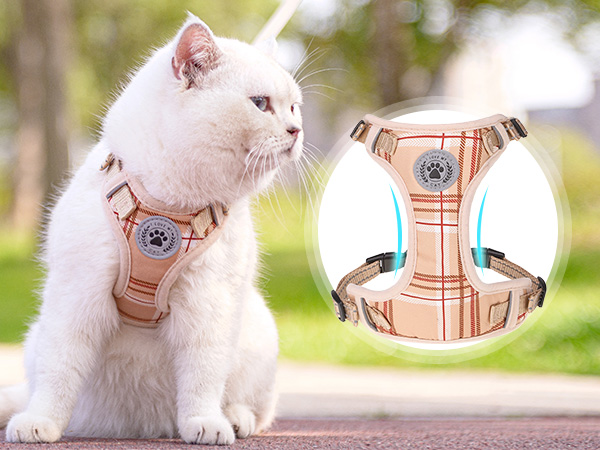 Pet Supplies : BEAUTYZOO Cat Harness and Leash Set for