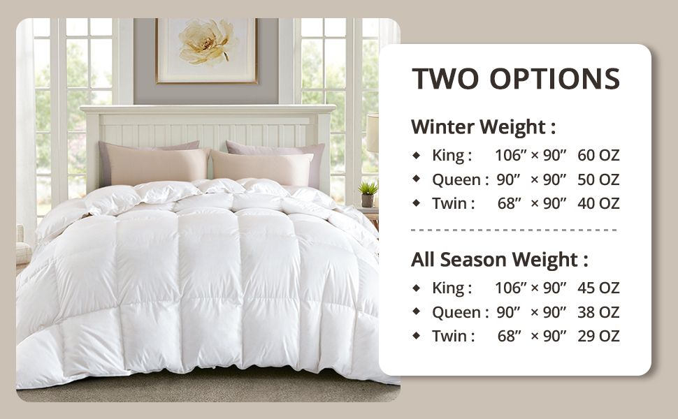 Globon Winter White Goose Down Comforter King Size,Down