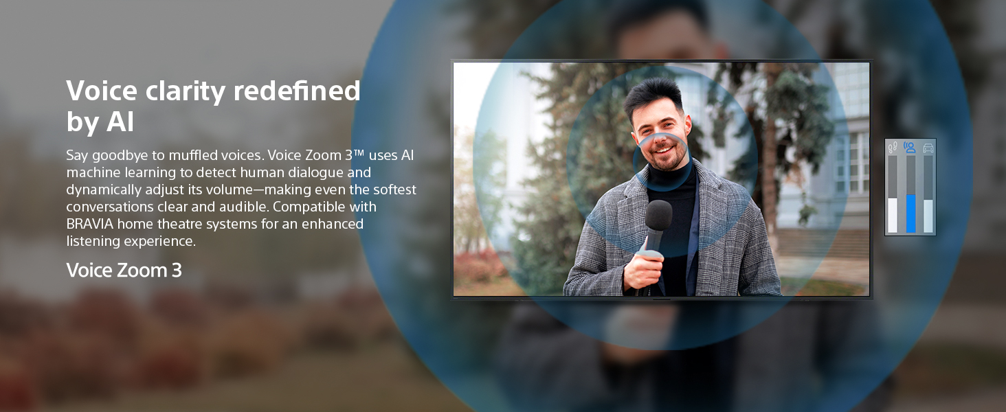 Voice Zoom 3​