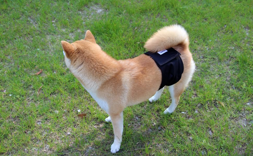 Belly Bands for Male Dogs 5 Pack,Premium Black Mesh Lining Large Dog Belly