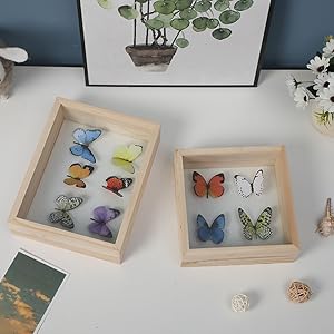 Amazon.com: Zerodeko Butterflies Wooden Display Case with