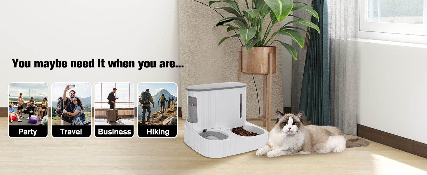 cat feeder and water dispenser