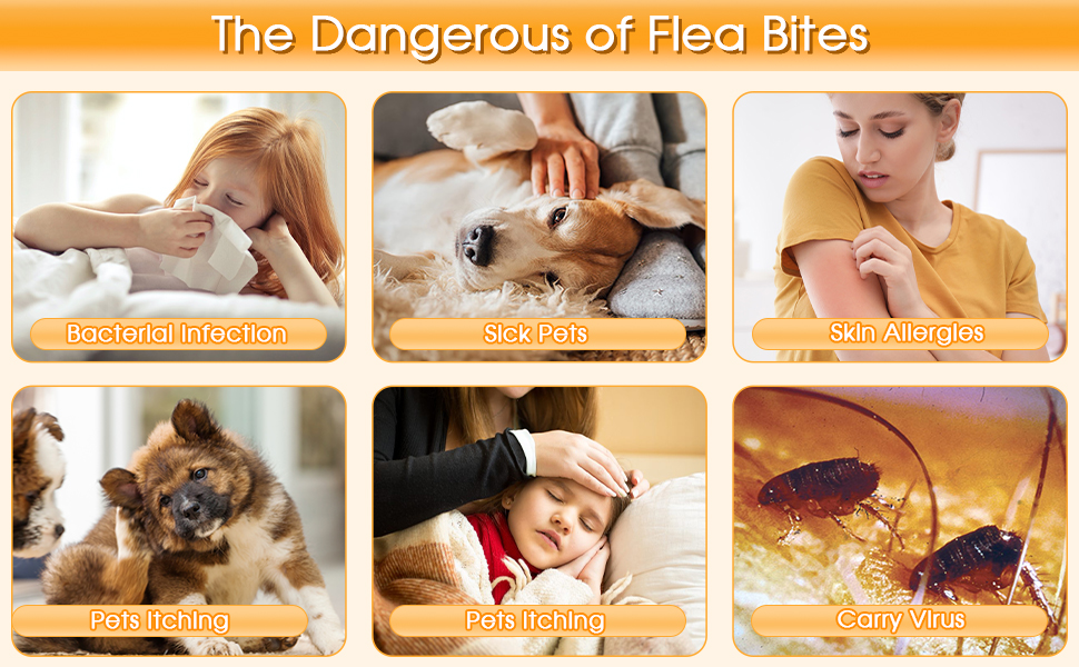Are you Suffering Fleas Troubles?