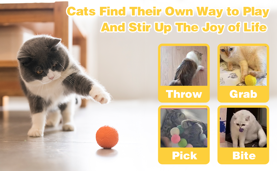 throw grab cat ball