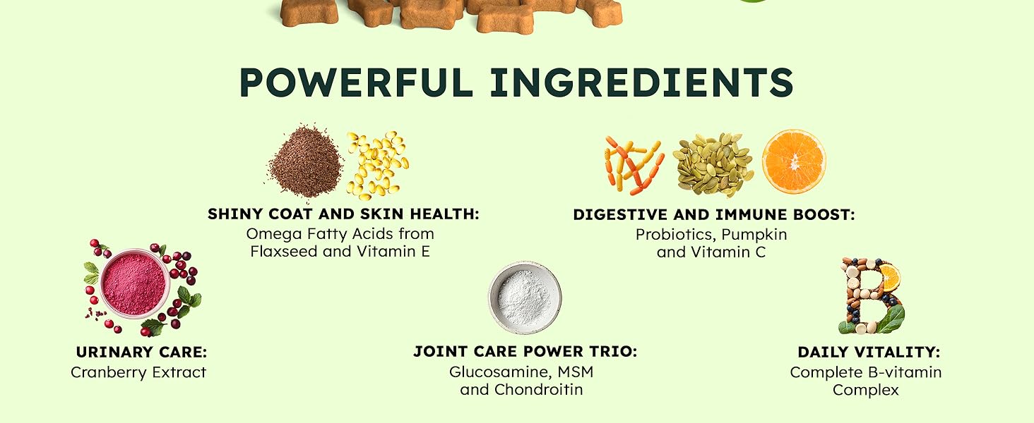 dog vitamins supplements and collagen multivitamin for dogs vitamin b senior gut defense