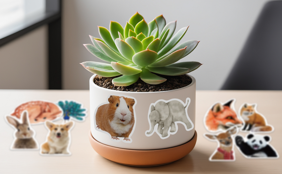 cute animal water bottle stickers