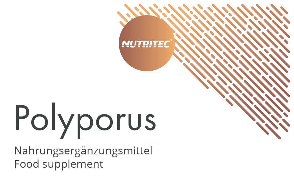 Vitalpilze Polyporus