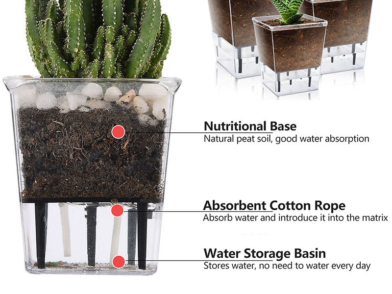Plastic Plant Pots