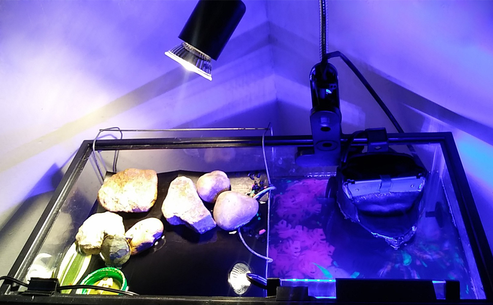 Reptile Heat Lamp Tortoise Heat Lamp with Brightness/Heat Control