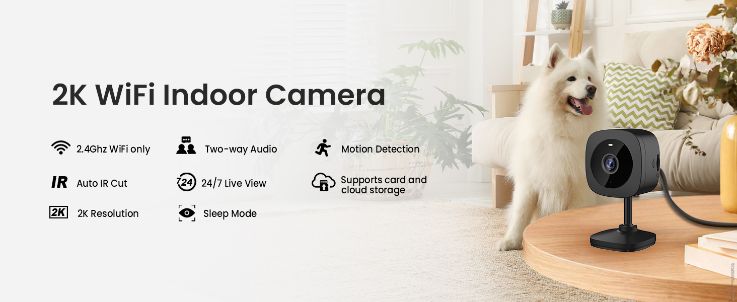 Indoor Camera