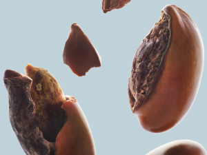 Small manufacture image 1