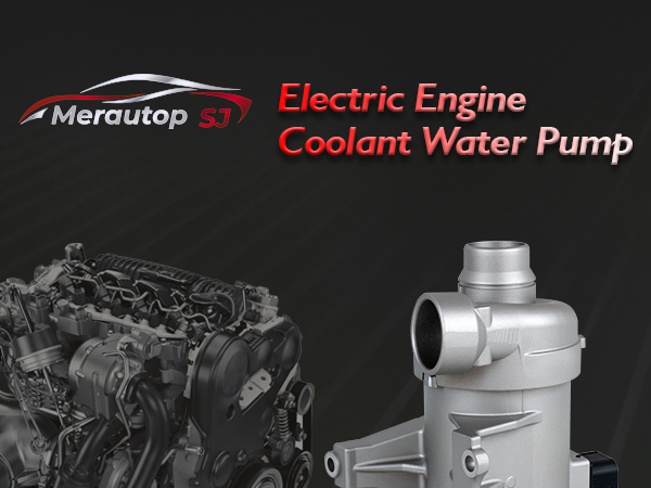 Amazon.com: Merautop SJ 31368419 Electric Engine Coolant