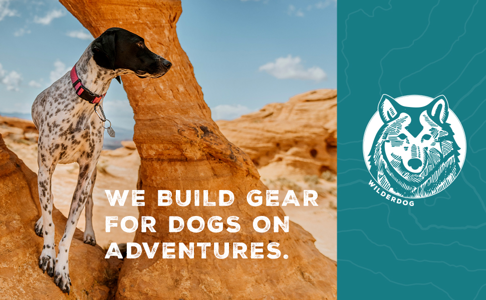 we build gear for dogs on adventures