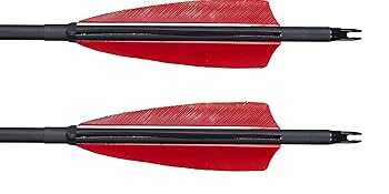 arrows