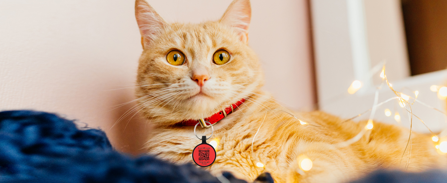 ID tag tags for collar dogs personalised pet small pets identity brass engraving with glitter bone