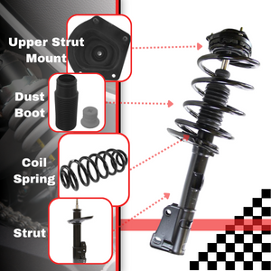 Strut and Coil Spring Assembly3