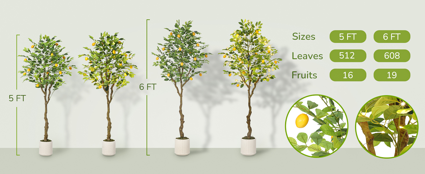 lemon tree
