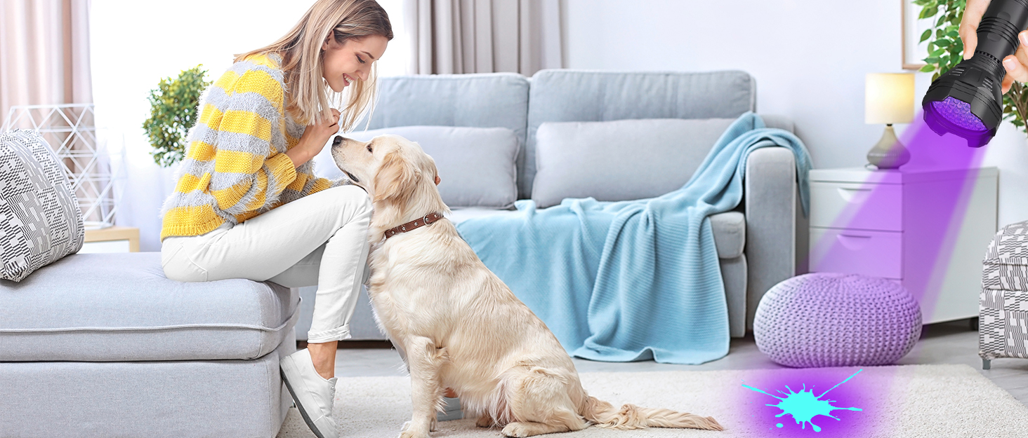 UV Flashlights 51 LED 365395nm Black Light Flashlite, Rechargeable