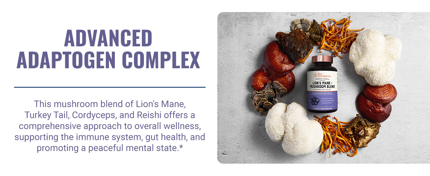 lions mane and mushroom blend