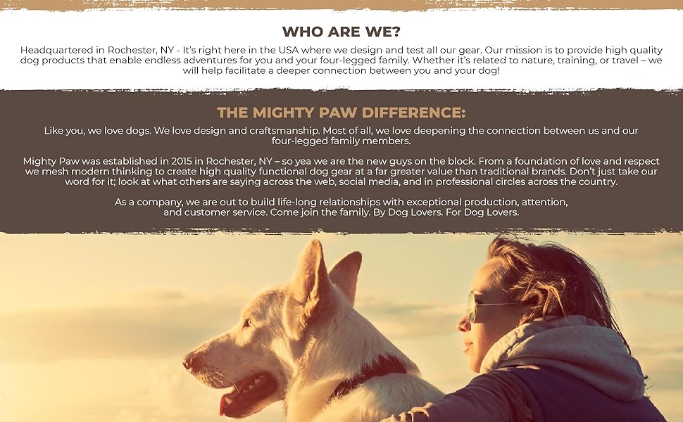 Mighty Paw Yak Cheese Dog Chews 4 Large Sticks. AllNatural Chews for