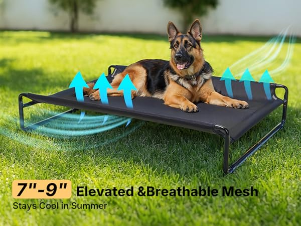 Amazon.com : Veehoo Original Outdoor Elevated Dog Bed