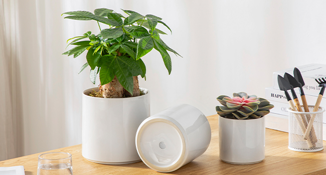 soup bowls set of 4
