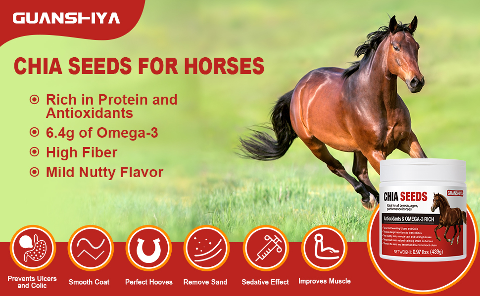 Organic Chia Seeds for Horses, Contains Omega3, NonGMO