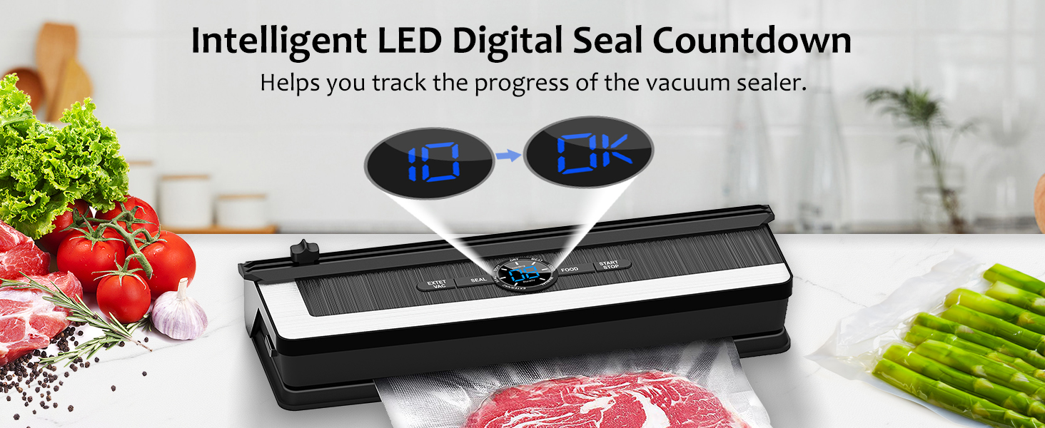 food sealer vacuum sealer machine