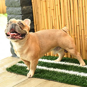 Small manufacture image 5