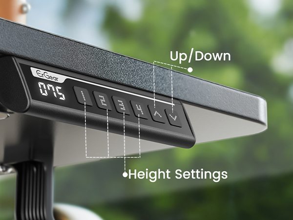 Electric Standing Desk