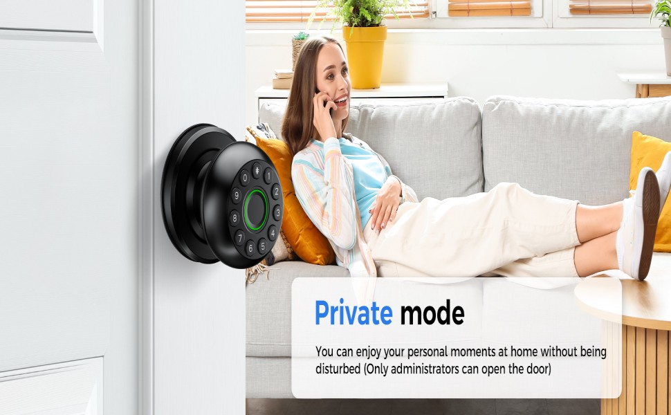 413 Smart Fingerprint Door Lock