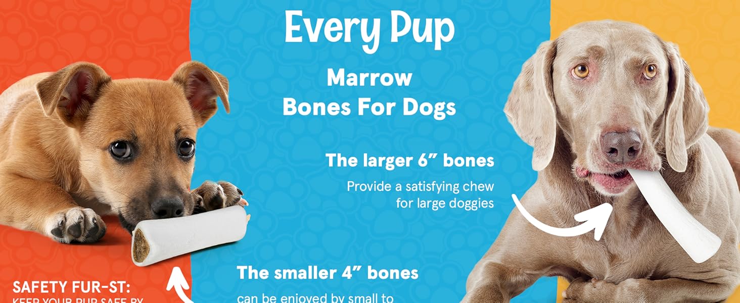FETCHERONI Variety Pack Stuffed Dog Bones (Flavors Bacon