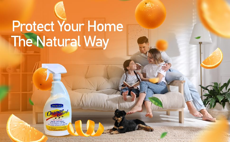 A+ Content_Orange Guard Home Pest Control-06