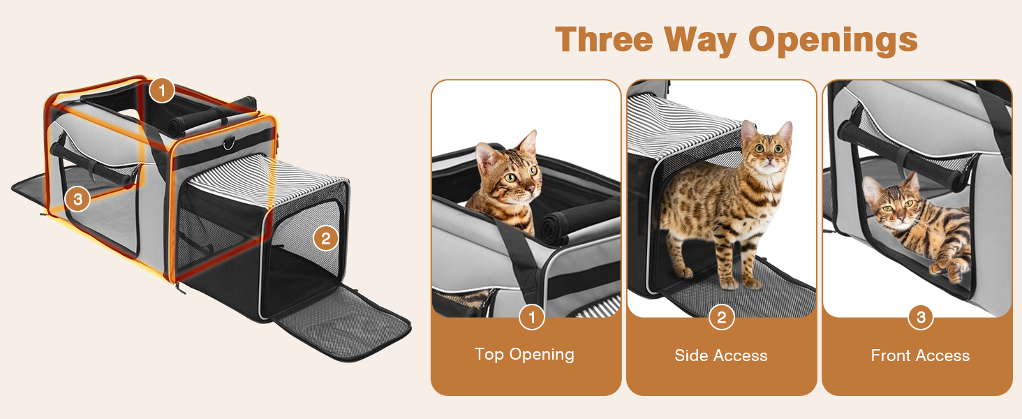 car cat carrier