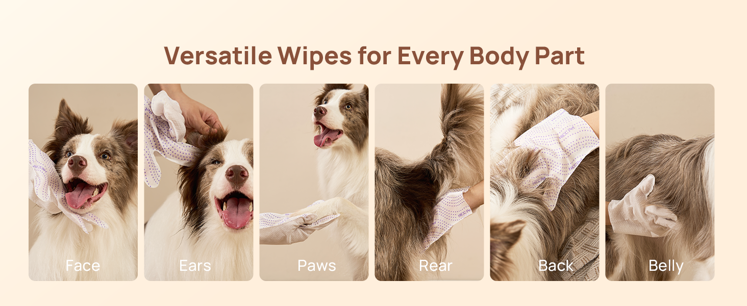 dog wet wipes for paw and body
