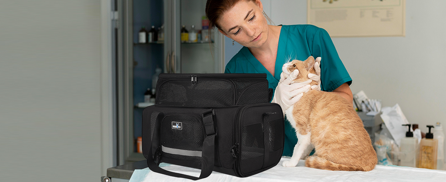 cat travel  bag