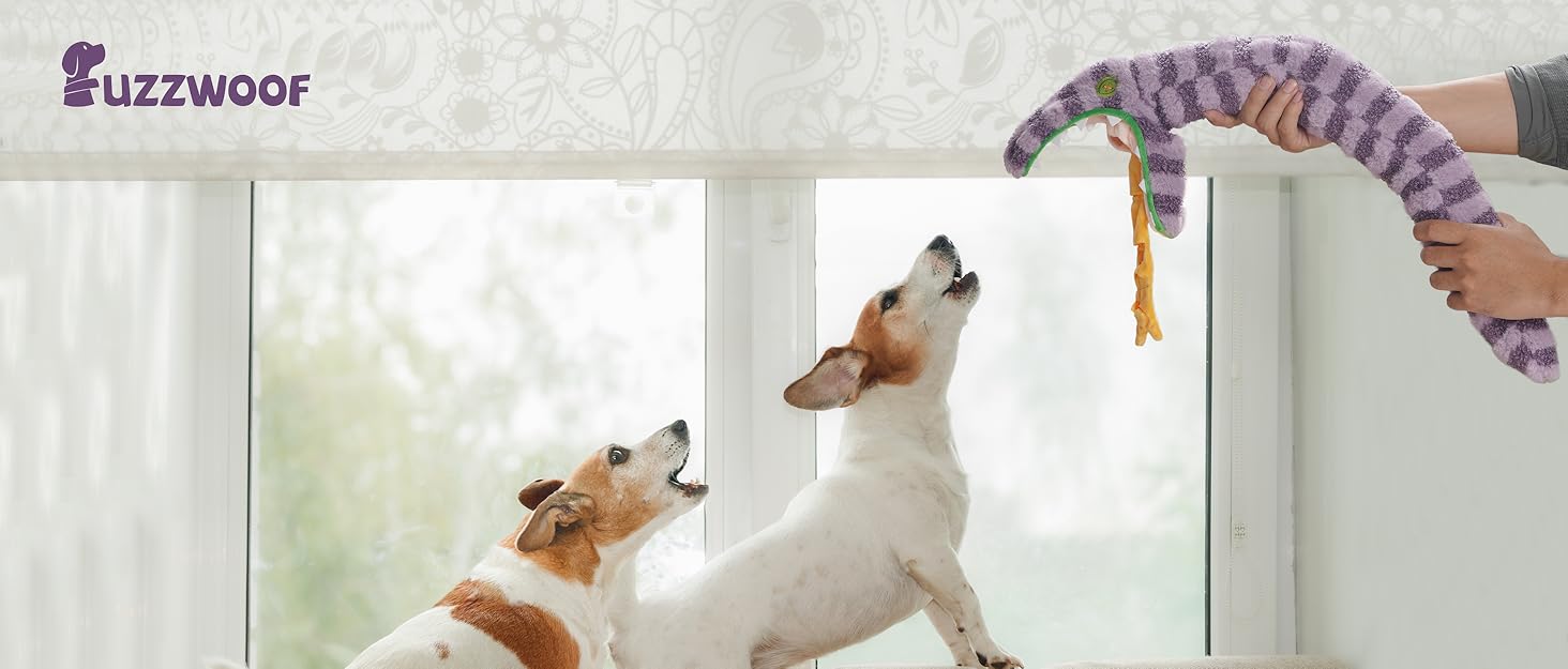 dog toys