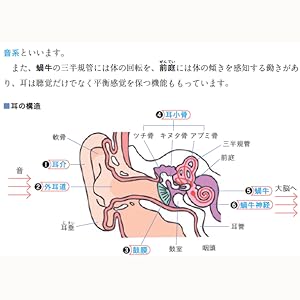 みんなが欲しかった! 社会福祉士の教科書 共通科目編 2023年度版