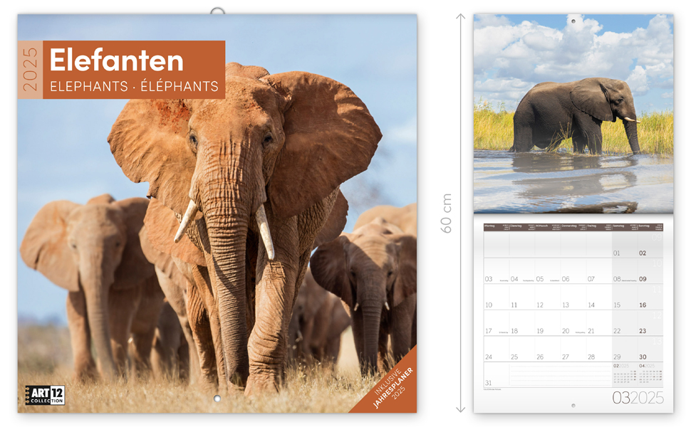 Elefanten 2025, Wandkalender / Broschürenkalender im Hochformat