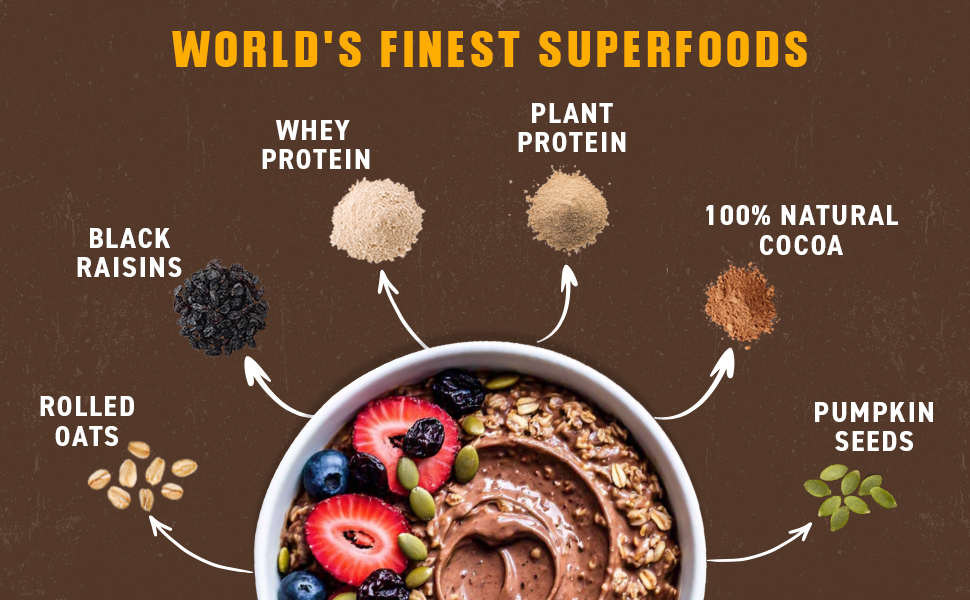 protein, protein oats, bagrry's, whey protein