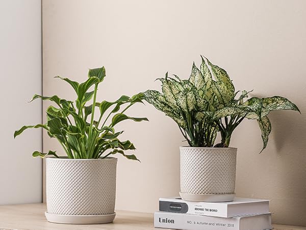 Amazon.com : Chubacoo 8 Inch Plant Pots: Ceramic Planter