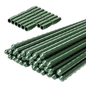 plant stakes