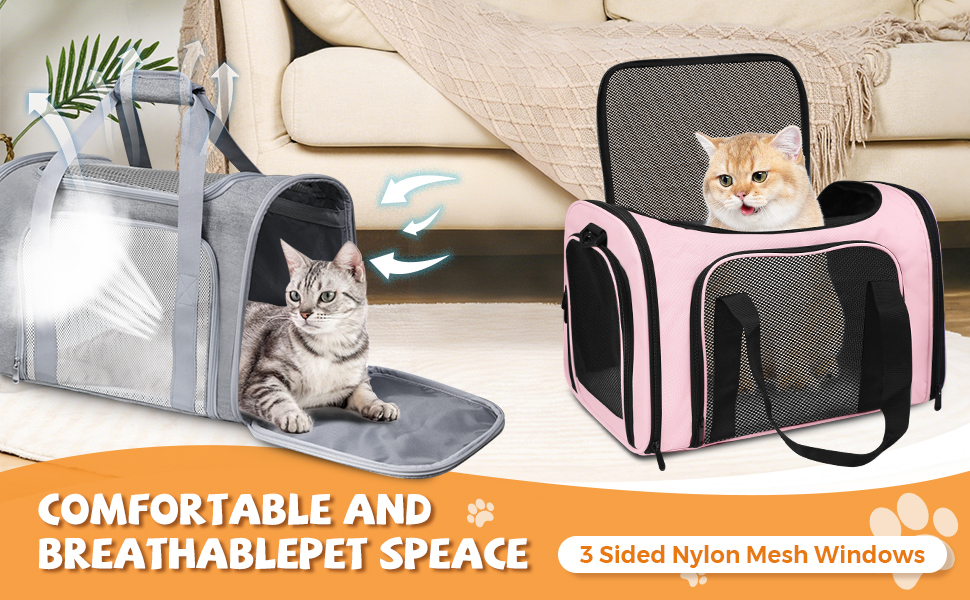 pet carrier for cat