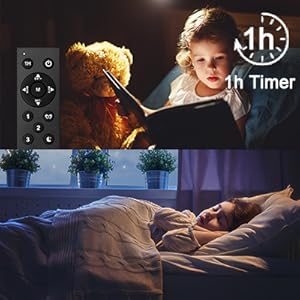 floor lamp with timer