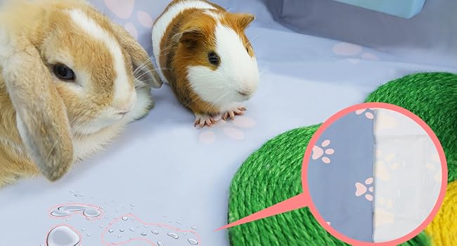 diy guniea pan ginnie ginny folding basic best mesh 7.5 8 square feet cnc expandable guine