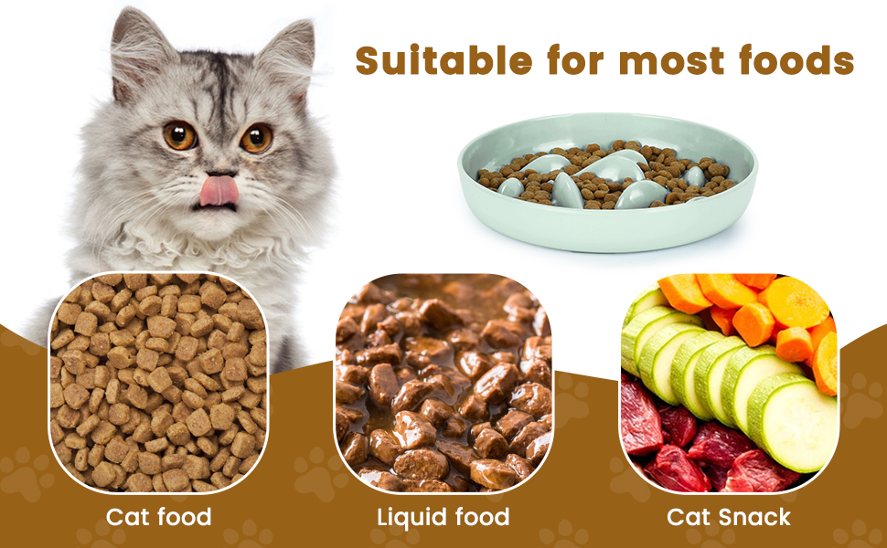 PETTOM Cat Slow Feeder Bowl, Fun Cat Puzzle Feeder Bowl