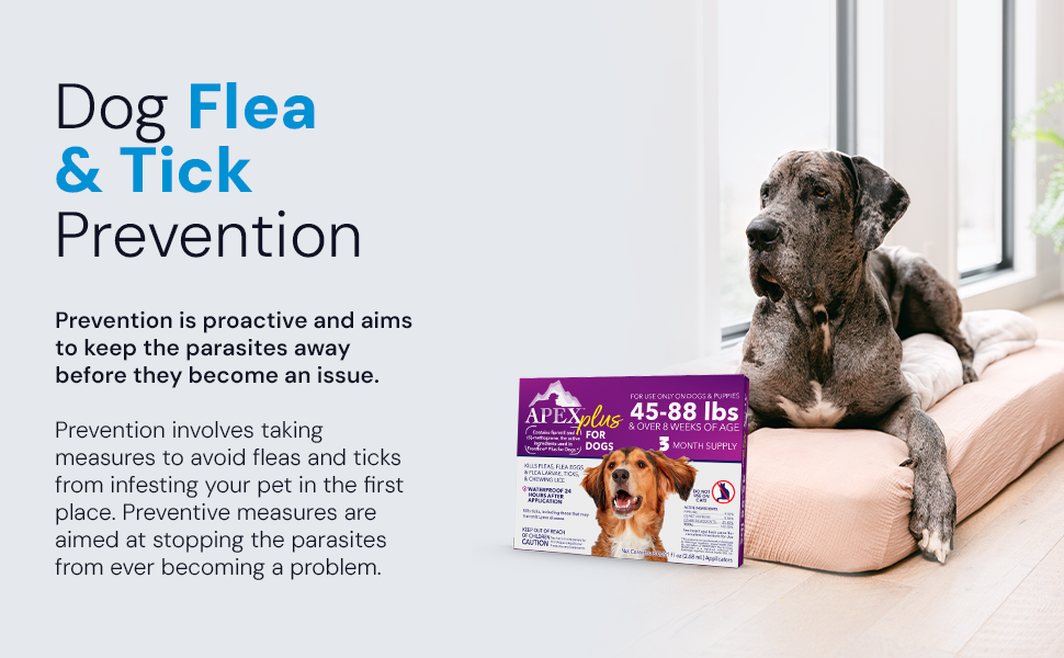 apex plus for dogs flea tick prevention large dogs 3 month supply to be proactive